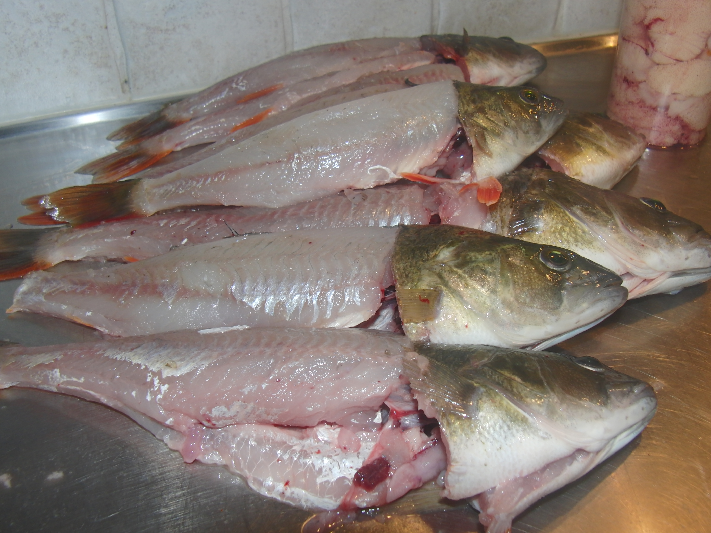 🍽️ Питание